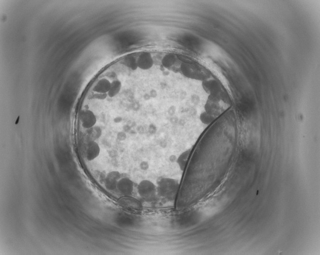 X0000085821099200704091626