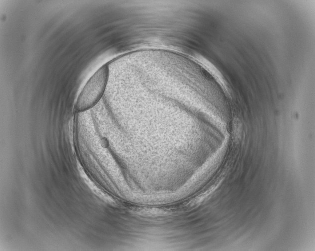 X0000085821100200704091626