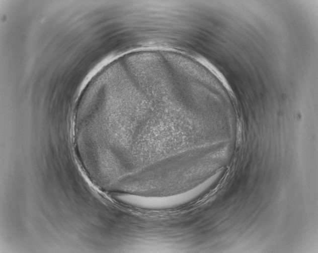 X0000085821101200704091626