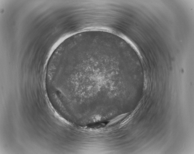 X0000085821102200704091626