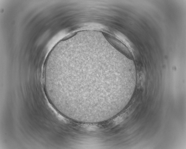 X0000085821103200704091626