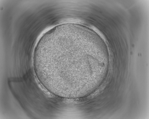 X0000085821104200704091626