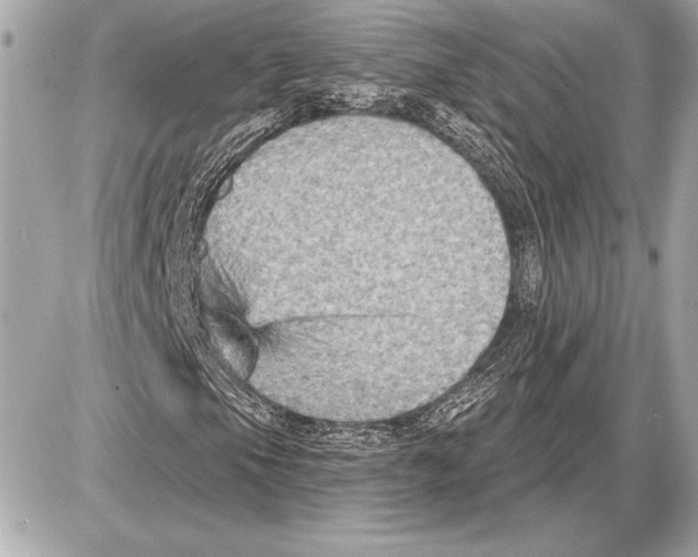 X0000085821105200704091625