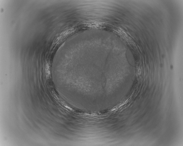 X0000085821106200704091625