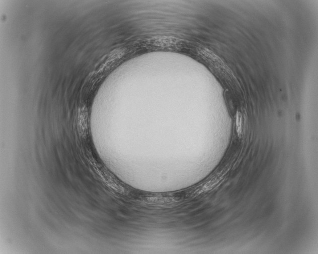 X0000085821107200704091625