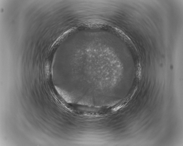 X0000085821108200704091625