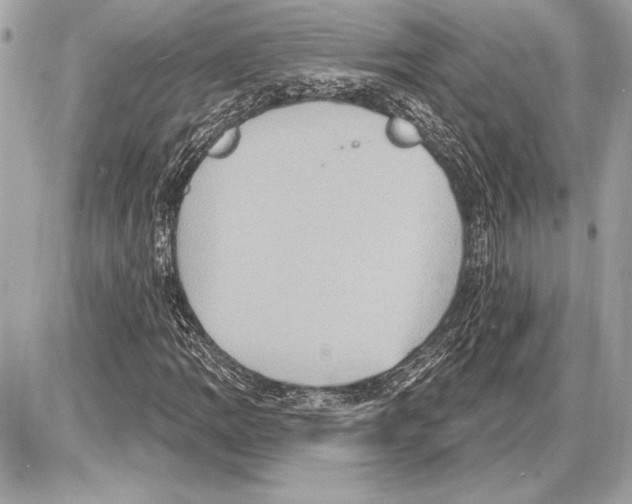 X0000085821109200704091625