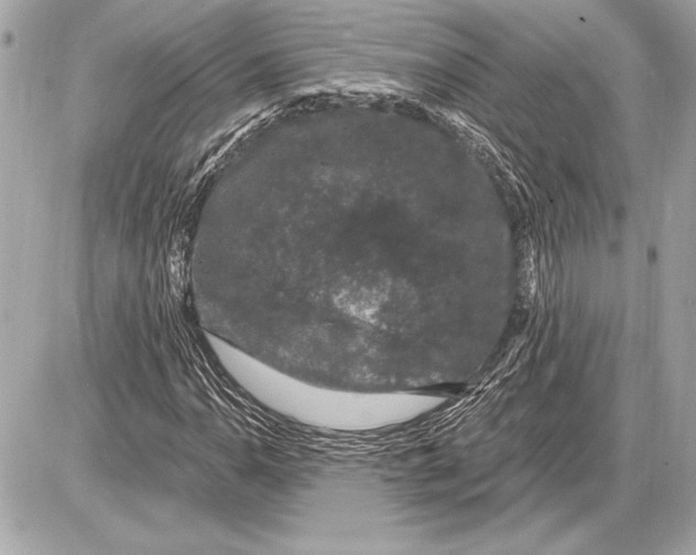 X0000085821110200704091625