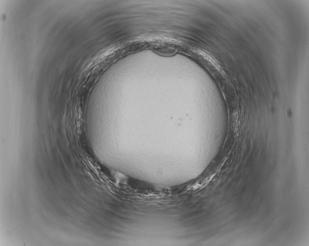 X0000085821111200704091625