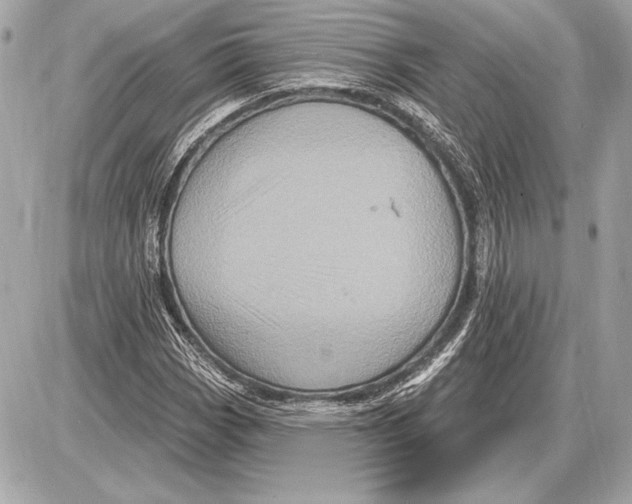 X0000085821113200704091625