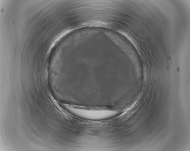 X0000085821115200704091625