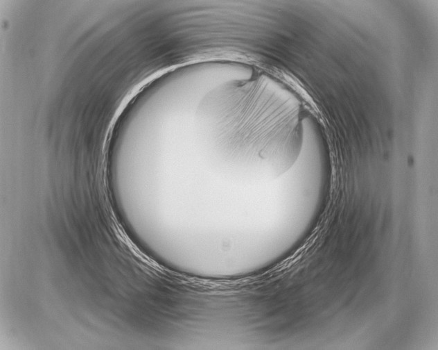 X0000085821116200704091625