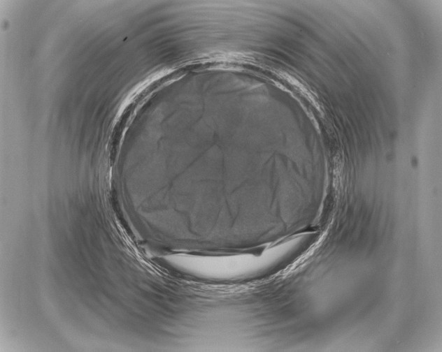 X0000085821117200704091625