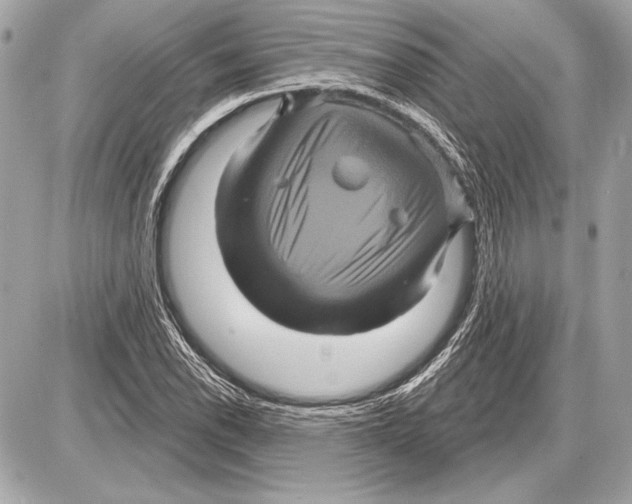 X0000085821118200704091625