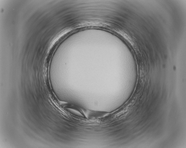 X0000085821119200704091625