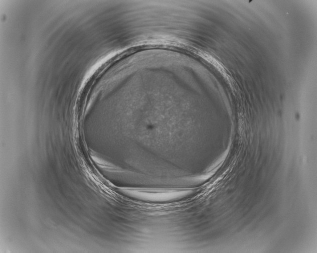 X0000085821120200704091625