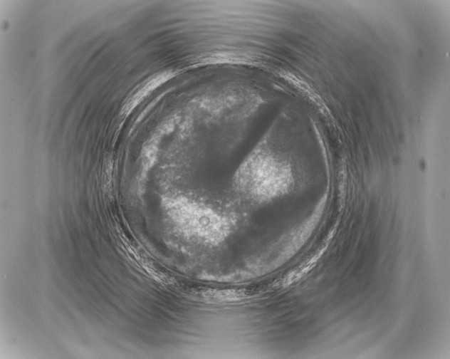 X0000085821121200704091625