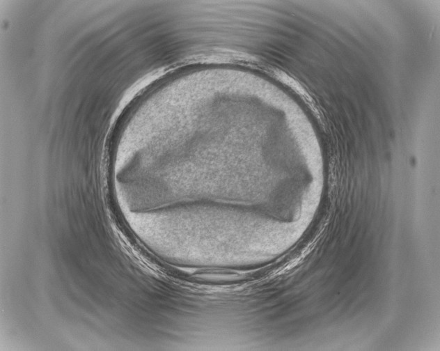 X0000085821122200704091625