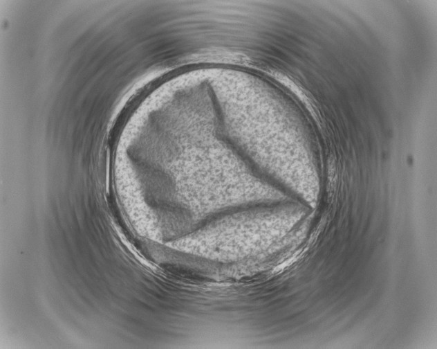 X0000085821123200704091625