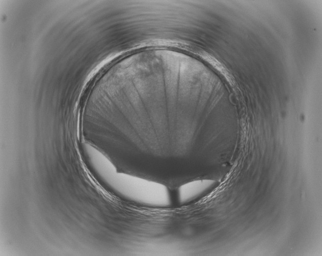 X0000085821127200704091625