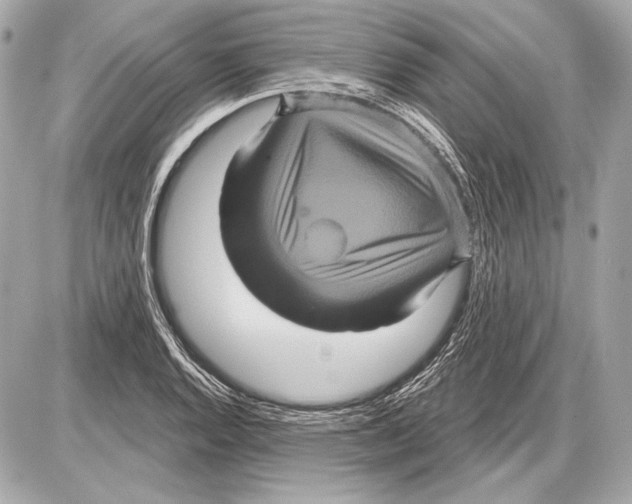 X0000085821128200704091625