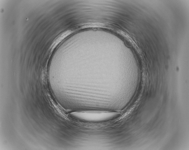 X0000085821129200704091625