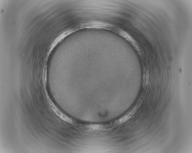 X0000085821130200704091625