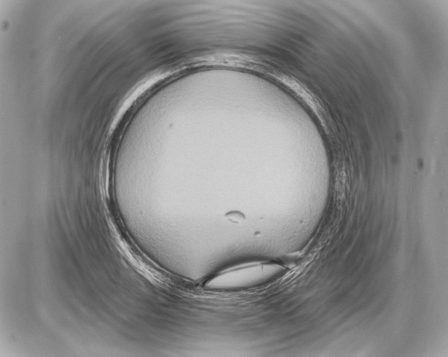 X0000085821131200704091625