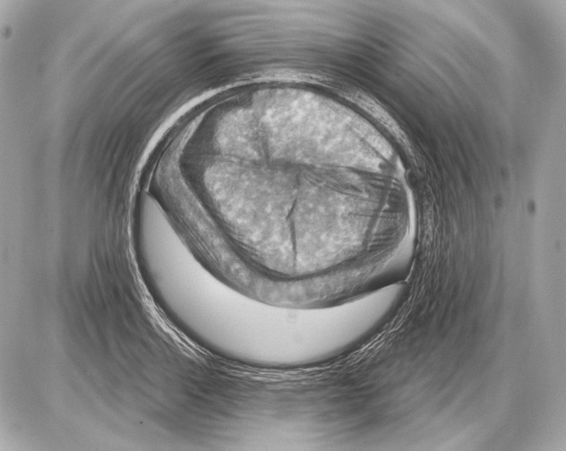 X0000085821132200704091625