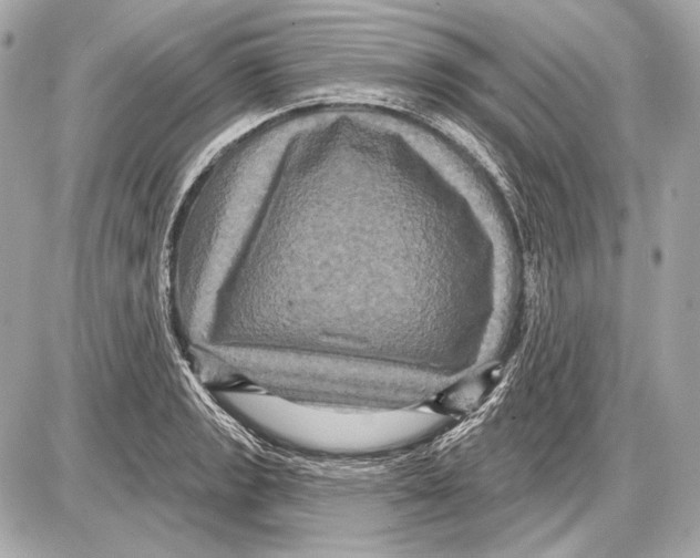 X0000085821133200704091625