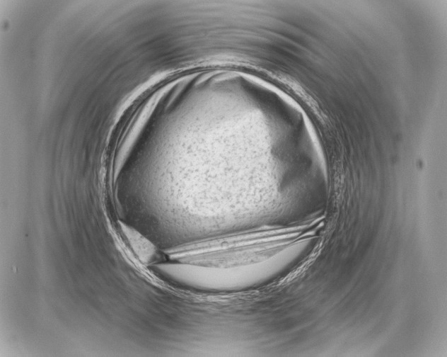 X0000085821134200704091625