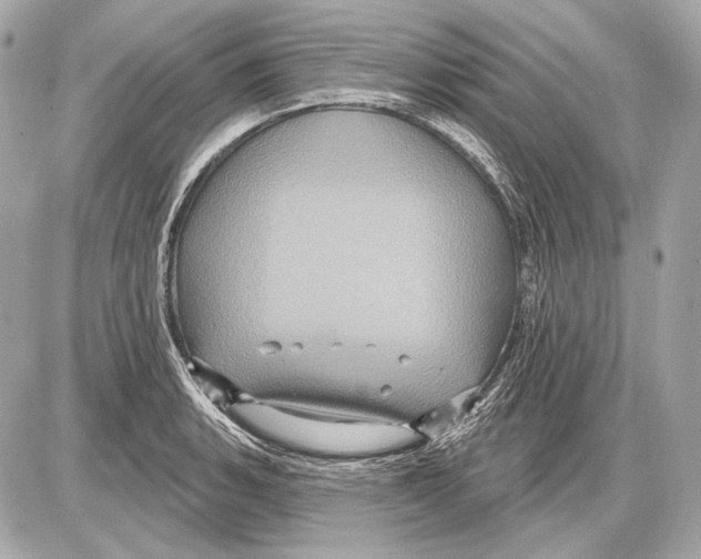 X0000085821135200704091625