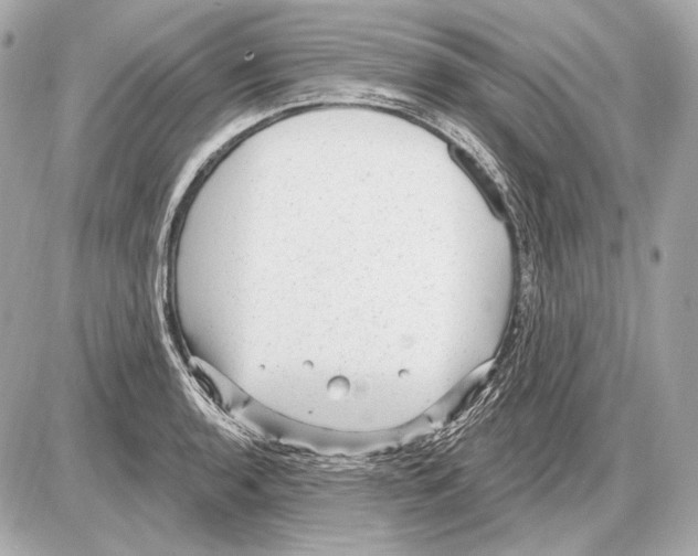 X0000085821136200704091625