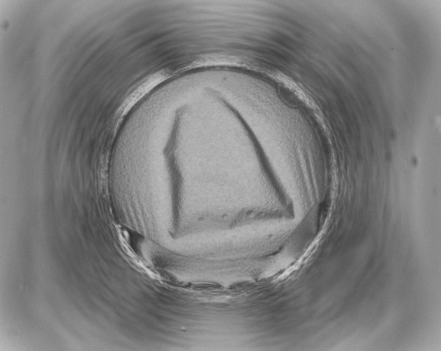 X0000085821137200704091625