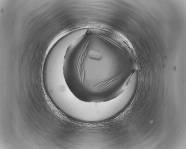 X0000085821138200704091625