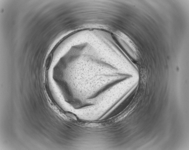 X0000085821140200704091625