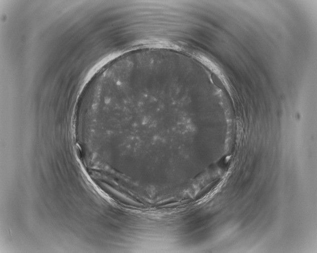 X0000085821141200704091625