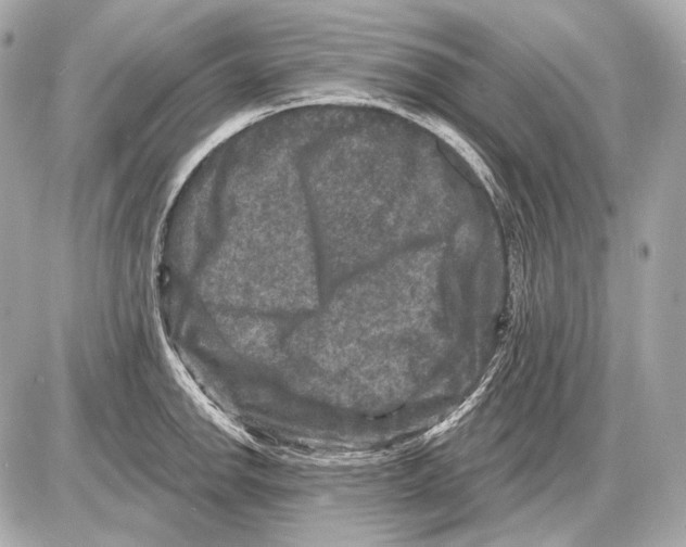 X0000085821142200704091625