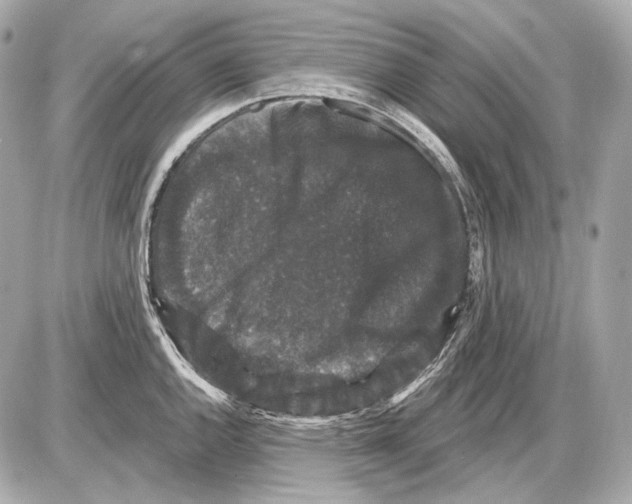 X0000085821144200704091625