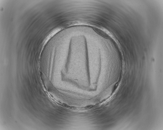 X0000085821145200704091625