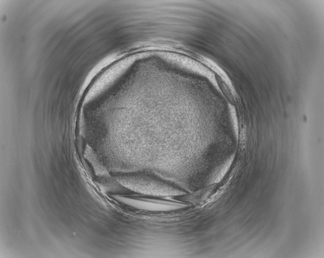 X0000085821146200704091625