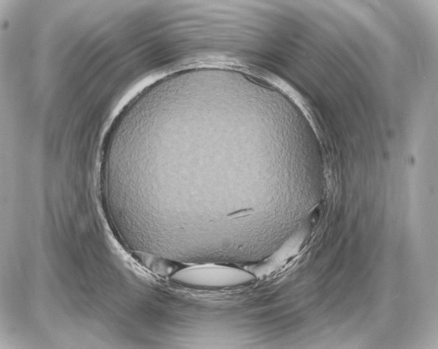 X0000085821147200704091625