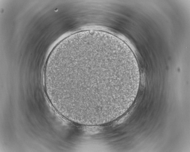 X0000085821150200704091626