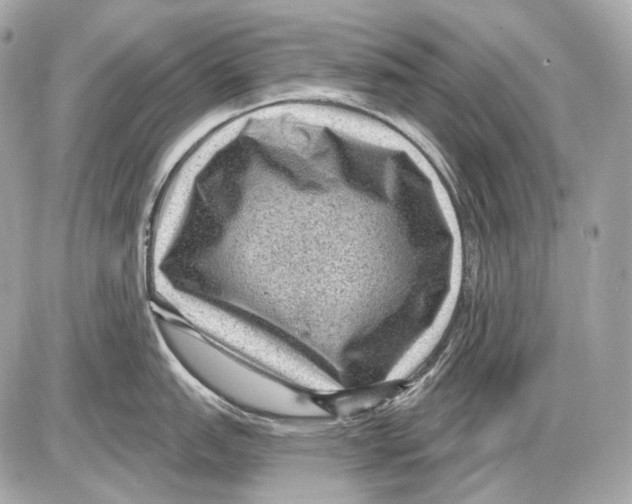 X0000085821151200704091626