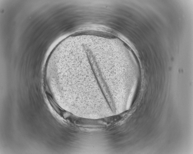 X0000085821152200704091626