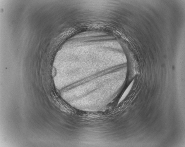 X0000085821153200704091625