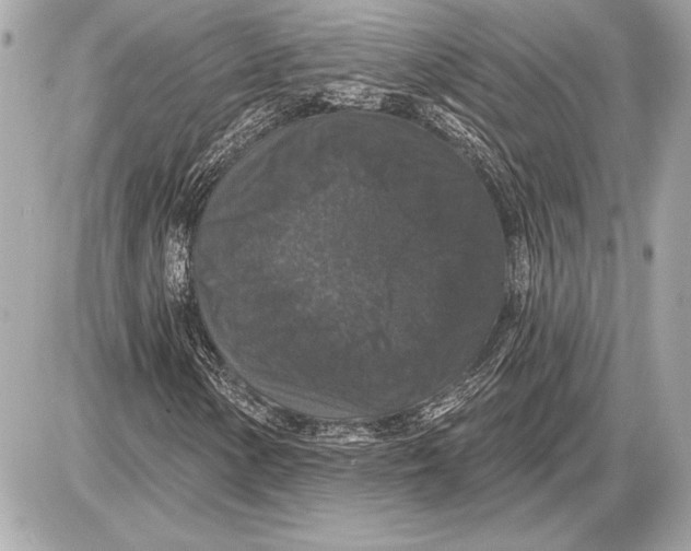 X0000085821154200704091625