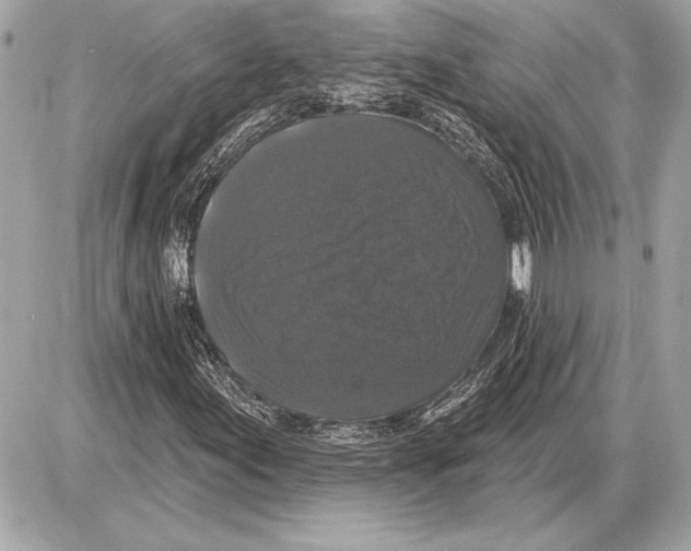 X0000085821155200704091625