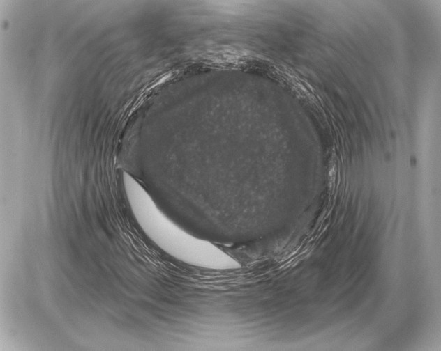 X0000085821156200704091625