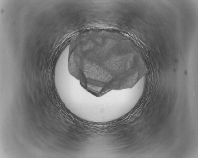 X0000085821157200704091625